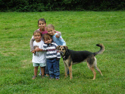 vie de familie au camping